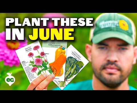 16 Crops You Should Plant In June ASAP thumbnail