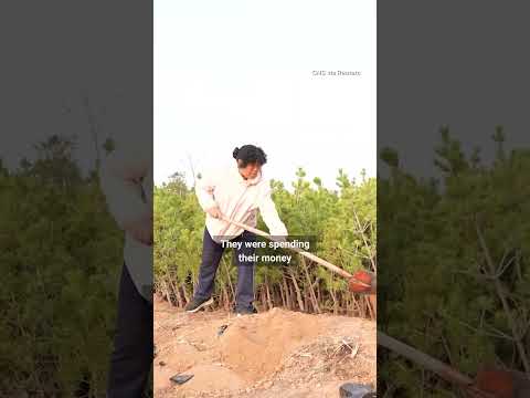 American’s US$5,000 donation helps turn China desert into an oasis thumbnail