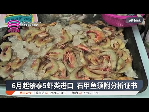 6月起禁泰5虾类进口 石甲鱼须附分析证书【2026.05.16 八度空间华语新闻】 thumbnail