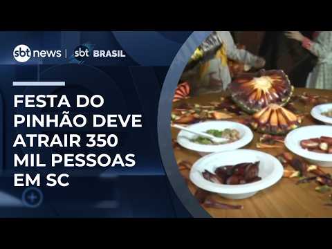 Festa do Pinhão deve receber 350 mil visitantes em Santa Catarina | #SBTBrasil thumbnail