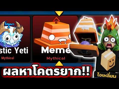 ผมมีเวลา 1 ชั่วโมง…เพื่อตามล่า “ผล Meme” ที่หายากที่สุดใน Blox Fruits thumbnail