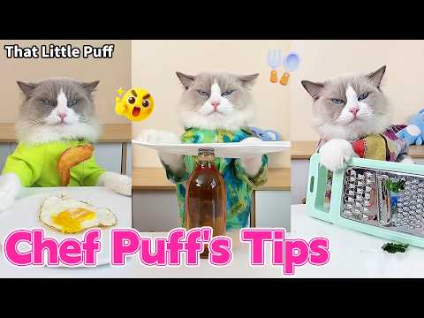 Puff’s Kitchen Hacks 🐱🍳 Become a Cooking Pro in No Time！| That Little Puff thumbnail