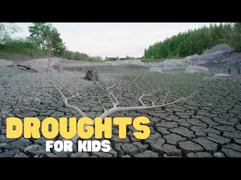 Droughts for Kids | Learn about this common natural disaster thumbnail