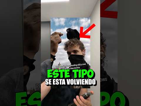 $10000 entrenando cuervos 🤑 thumbnail