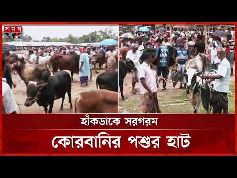 ঢাকার বাইরে জমে উঠেছে কোরবানির পশুর হাট | Qurbani Haat 2026 | Rajshahi | Somoy TV thumbnail