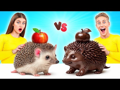 Desafío De Comida Real vs. De Comida Chocolate | Recetas de Cocina Sencillas de Multi DO Challenge thumbnail