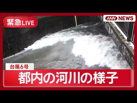 【緊急ライブ】台風6号 都内の河川状況 中野区と杉並区を流れる善福寺川・野川・仙川に｢レベル4氾濫危険警報｣【LIVE】(2026年6月3日) ANN/テレ朝 thumbnail