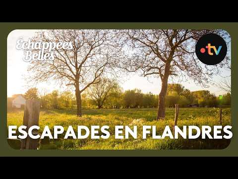 Escapades en Flandres - Echappées Belles thumbnail