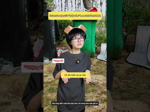 Chú chó tưởng mình đã trở về hành tinh chó thumbnail