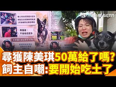 「陳美琪」找到了！50萬懸賞金給了嗎？ 飼主PO文喊「履行承諾」自嘲：要開始吃土了｜三立新聞網 SETN.com thumbnail
