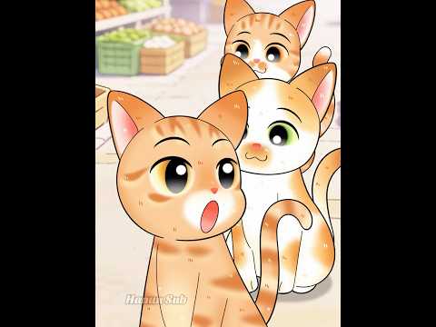 Những bé mèo hoang thông minh! thumbnail