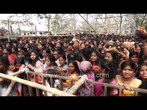 Women devotees gather for worship at Pahari Mandir during Maha Shivaratri thumbnail
