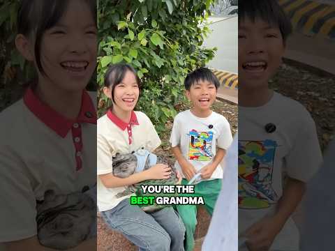 Lily & Jeje bought a new cat! ? ? thumbnail
