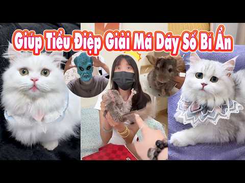 Các Bạn Giúp Tiểu Điệp Giải Mã Dãy Số Bí Ẩn ☯️❓ thumbnail