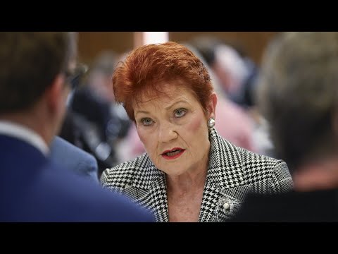 Pauline Hanson calls immigration policy ‘utterly flawed’ in National Press Club address thumbnail