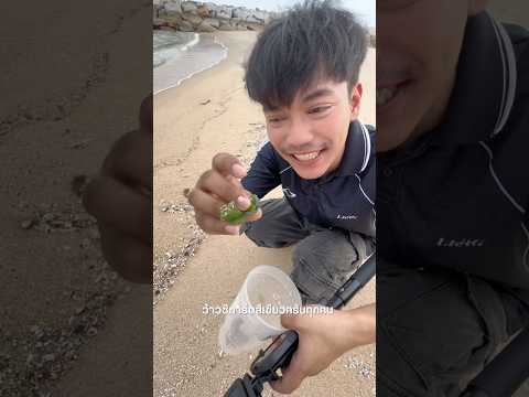 หา Sea Glass บนชายหาด จะได้ของแรร์ไหม!!? Ep.2 #ไอต้าวศิลา #seaglass thumbnail