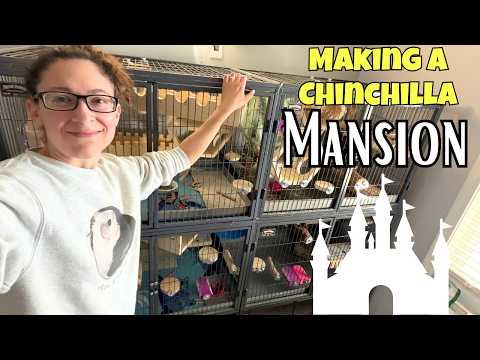 Doubling the Size of your Chinchilla Cage thumbnail
