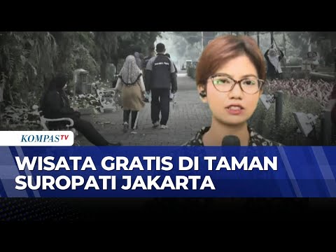 Libur Panjang, Taman Suropati Jakarta Jadi Destinasi Favorit untuk Olahraga & Rekreasi thumbnail
