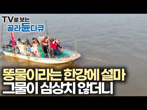 한강에 던진 그물에 뭐가 잡힐까 봤더니｜상상도 못한 고기들이 살고 있는 한강｜PD로그｜#골라듄다큐 thumbnail