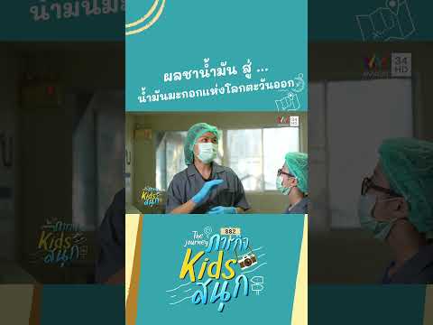 จากผลชาน้ำมัน  สู่ ...น้ำมันมะกอกแห่งโลกตะวันออก | ภารกิจKIDSสนุก HIGHLIGHT thumbnail