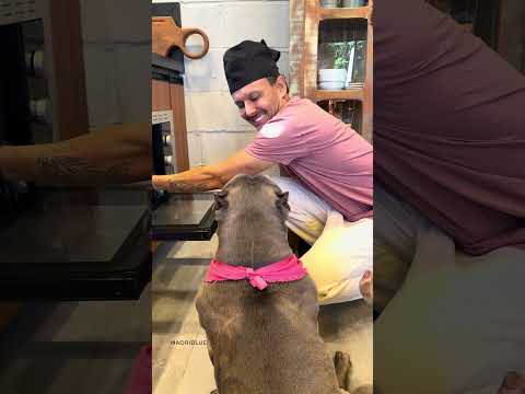 O Lanche da Tarde está uma delícia 🤩🐾 thumbnail