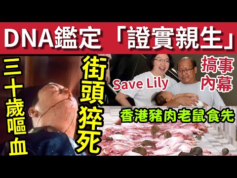 突發！30歲男街頭「突然吐血身亡」#伍間新聞 Save Lily父母「DNA監證」係男嬰父母！親述搞事原因！香港豬肉老鼠食先！非法加油站大爆炸 thumbnail
