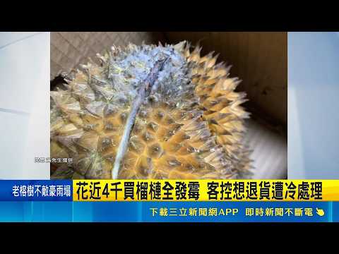 花近4千買榴槤全發霉 客控想退貨遭冷處理 特價品不給退? 3箱榴槤全發霉 客:專挑貴的買｜三立新聞LIVE thumbnail