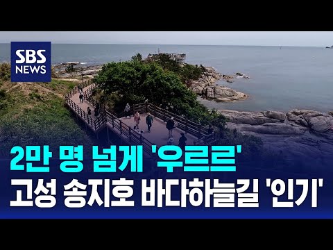 2만 명 넘게 '우르르'..고성 송지호 바다하늘길 '인기' / SBS thumbnail