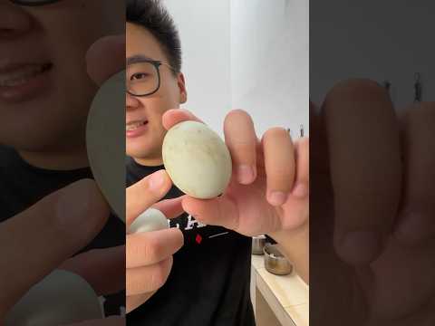 Nyobain telor bebek ceplok! thumbnail