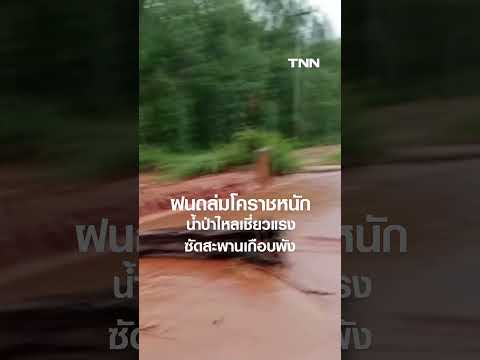 ฝนถล่มโคราชหนัก น้ำป่าไหลเชี่ยวแรง ซัดสะพานเกือบพัง  I TNN ข่าวเที่ยง | 16–5-69 thumbnail