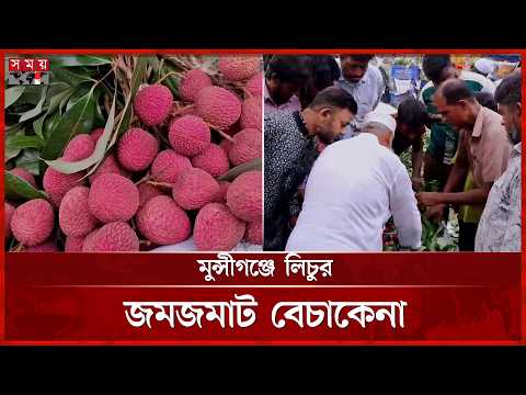 মুন্সীগঞ্জের মুক্তারপুর হাটে লিচুর জমজমাট বেচাকেনা | Litchi Cultivation | Munshiganj | Somoy TV thumbnail