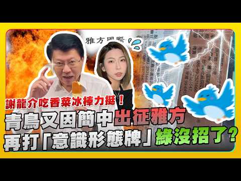 謝龍介吃香菜冰棒力挺！青鳥又因簡中出征雅方　再打「意識形態牌」綠沒招了? @ChinaTimes​ thumbnail