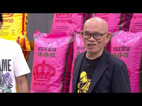 SPOT ก็มาดิคร้าบ | ป๋าเทพ บุกมาขายของถึงสตู เตรียมรอดูจะโดนอำขนาดไหน? | 17 พ.ค. 69 thumbnail