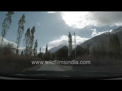 Nubra Valley and the famous Hunder sand dunes thumbnail