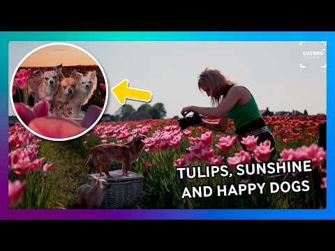 Adorable Dogs Pose in Tulip Fields 🌷🐶 thumbnail
