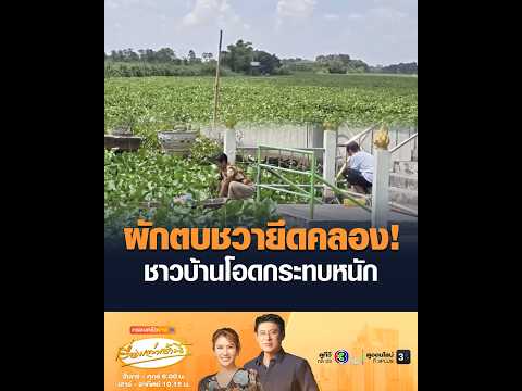 ผักตบชวายึดคลอง! ชาวบ้านโอดกระทบหนัก thumbnail