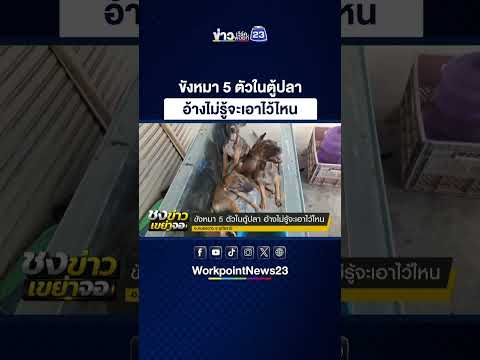 ขังหมา 5 ตัวในตู้ปลา อ้างไม่รู้จะเอาไว้ไหน thumbnail
