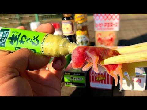 ネズミに合う調味料を教えます thumbnail