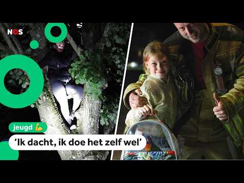 Moeder komt vast te zitten in boom bij zoektocht papegaai van dochter thumbnail