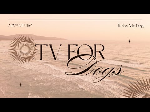 DOG TV: Fun and Entertaining Videos for Bored Dogs with Separation Anxiety  thumbnail