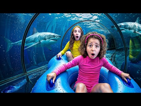 Sierra and Rhia Family Trip to Bahamas  thumbnail