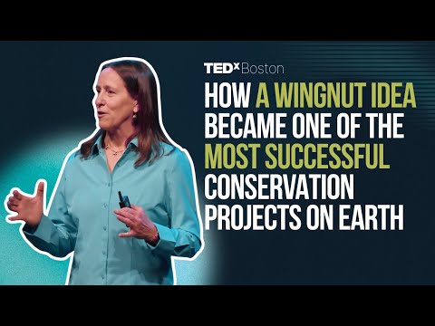 Wildlife need room to roam. It's time to rethink conservation at scale. | Jodi Hilty | TEDxBoston thumbnail