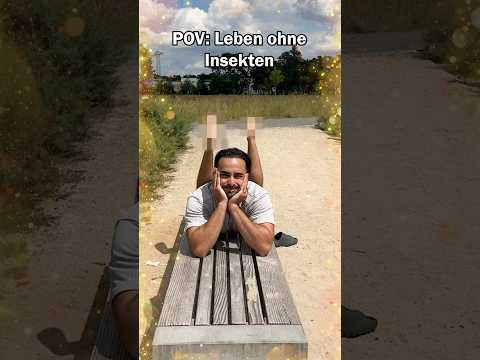Ein Leben ohne Insekten: thumbnail