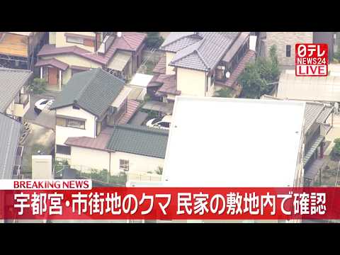【クマ出没】【速報】宇都宮・市街地のクマ　民家の敷地内で確認　麻酔銃など使い捕獲に向けた準備進める──社会ニュースライブ（日テレNEWS LIVE） thumbnail