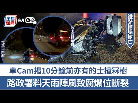 大埔鐵騎撞塌樹亡｜車Cam揭10分鐘前亦有的士撞冧樹 路政署料天雨陣風致腐爛位斷裂｜星島頭條新聞｜車禍｜交通意外｜大埔｜冧樹｜車cam｜路政署 thumbnail
