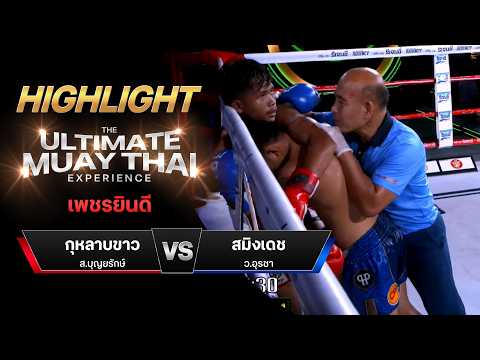 ไฮไลท์มวยไทย เพชรยินดี : กุหลาบขาว ส.บุญยรักษ์ พบ สมิงเดช ว.อุรชา thumbnail
