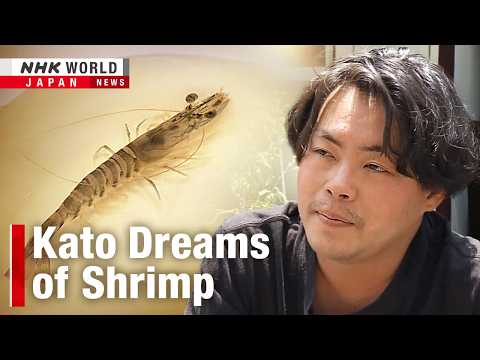 Prawn power drives law student turned entrepreneurーNHK WORLD-JAPAN NEWS thumbnail