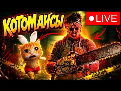 НЕ КЭМП, А ЭМОЦИОНАЛЬНАЯ ПРИВЯЗАННОСТЬ 🐱 Dead by Daylight thumbnail