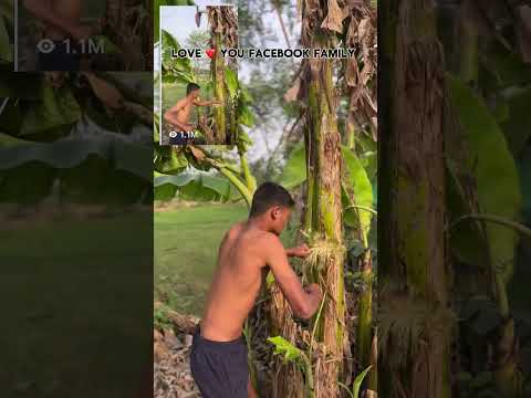 Challenge accepted #hardworkworks #viral #excellentwork #gymexercises thumbnail