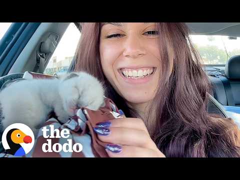 Woman Finds TINY Kitten All Alone — And Brings Him Home | The Dodo thumbnail